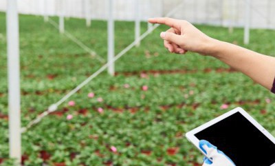 首页|3499拉斯维加斯集团官方网站