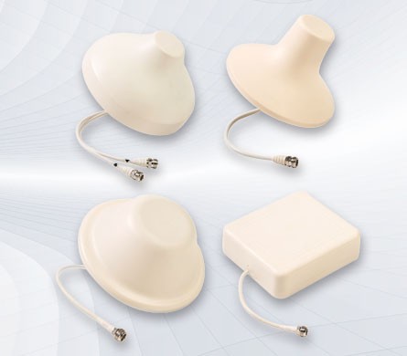 首页|3499拉斯维加斯集团官方网站