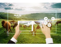 首页|3499拉斯维加斯集团官方网站