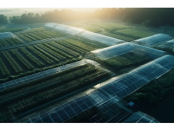 首页|3499拉斯维加斯集团官方网站